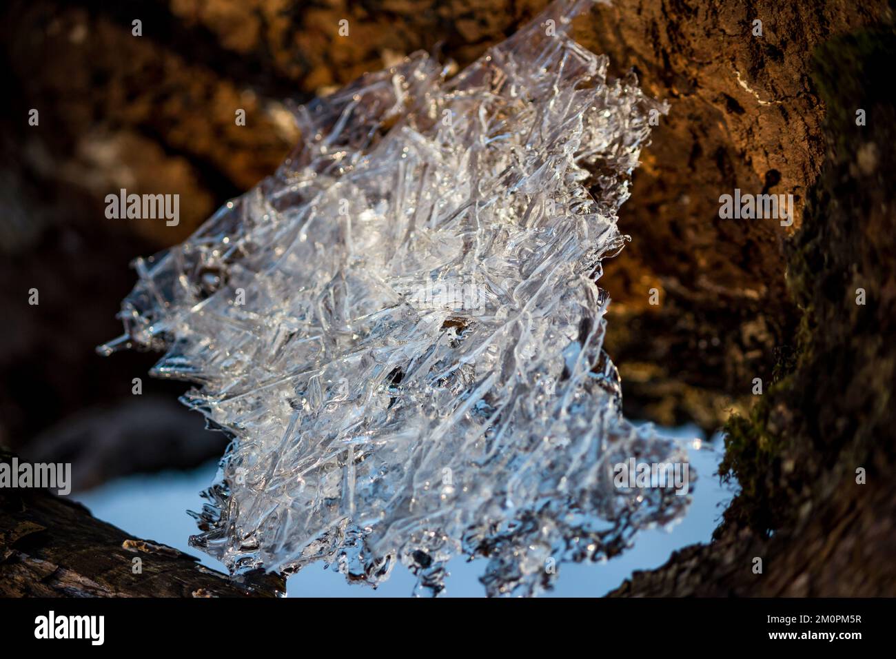 La texture d'un morceau de glace photographié à travers la lumière Banque D'Images