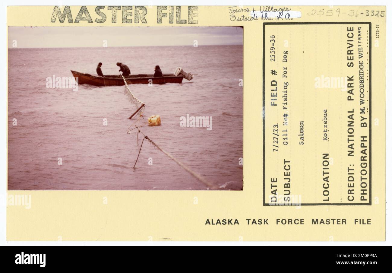 Pêche au filet de Gill pour le saumon de chien. Photographies du Groupe de travail de l'Alaska Banque D'Images