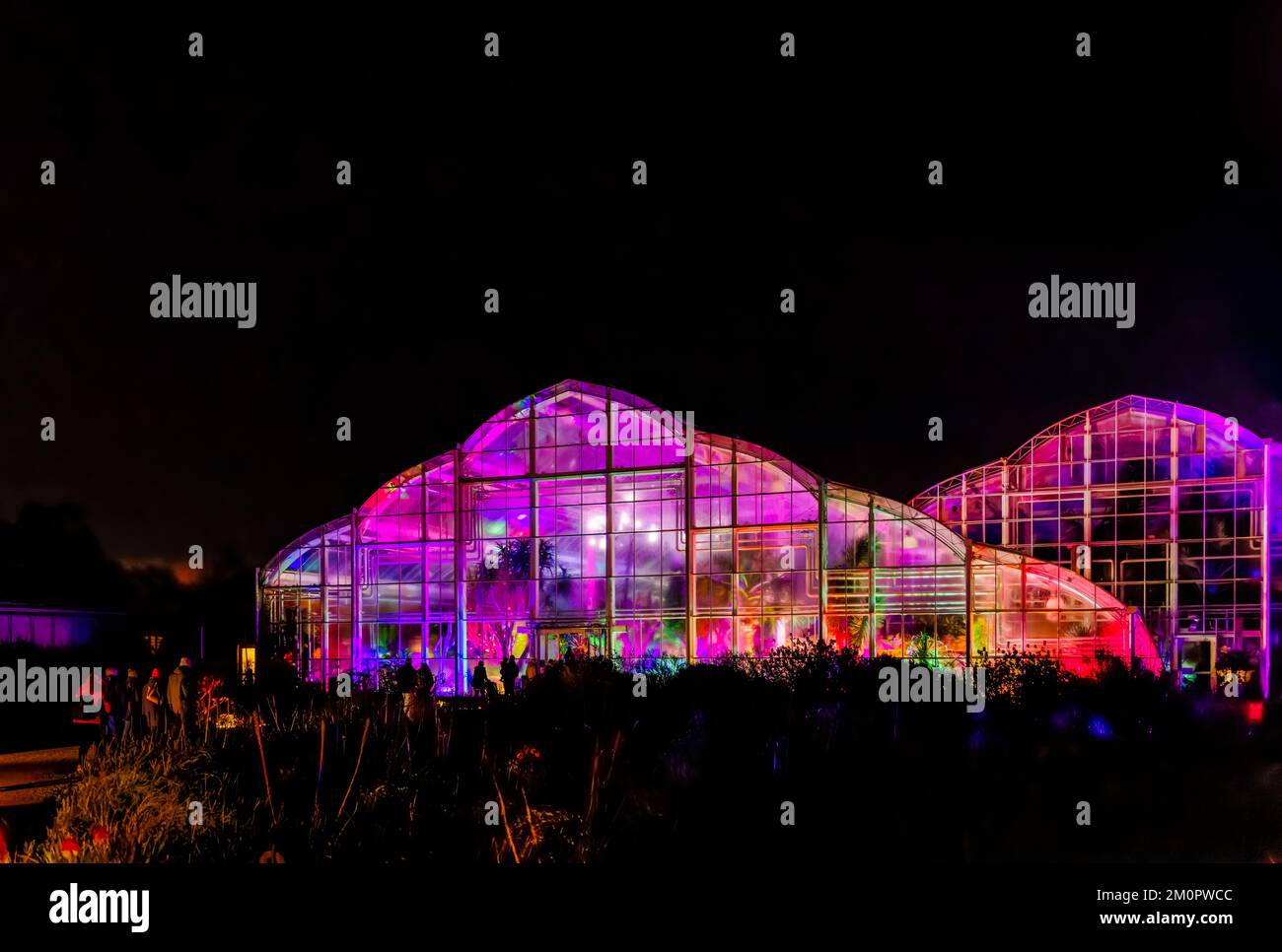 La Glasshouse a illuminé l'événement annuel de Noël 2022, RHS Garden Wisley, Surrey, avec des illuminations colorées la nuit Banque D'Images