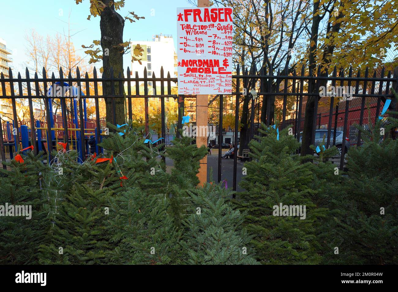Prix des arbres de Noël à New York. Un stand d'arbres de Noël dans un terrain de jeu de NYC Parks. Banque D'Images