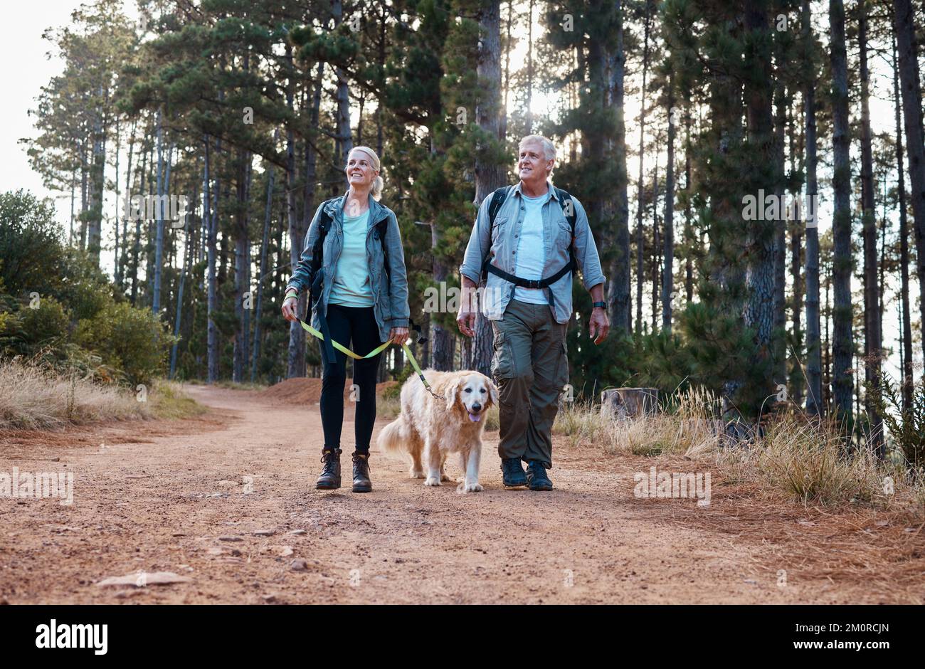 La randonnée est amusante et nous permet de rester actifs. un couple d'âge mûr et leur chien pour une randonnée ensemble. Banque D'Images