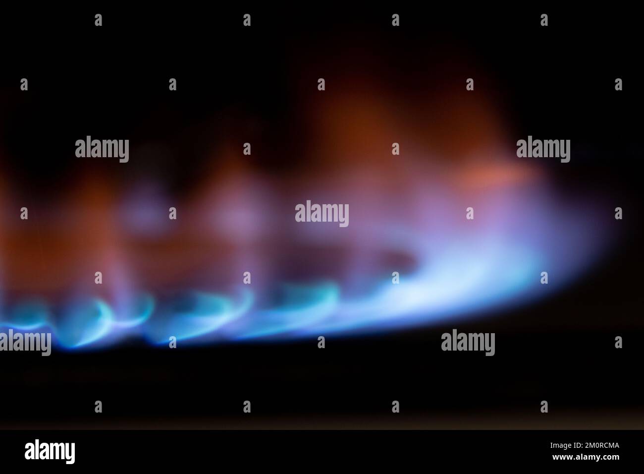 Brûlures de gaz dans l'obscurité gros plan, cuisinière à gaz dans l'obscurité Banque D'Images