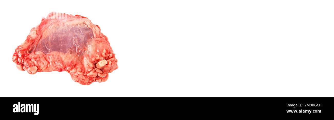 Propre viande de boeuf de vache brute rouge très frais, bannière maquette desing poster, isolé sur fond blanc Banque D'Images