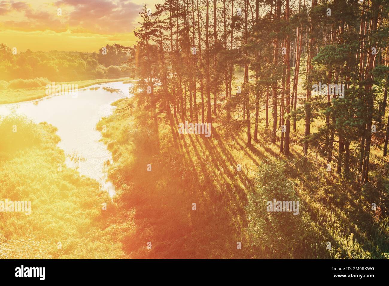 Vue aérienne de la forêt de pins et de la rivière. Vue en hauteur du paysage de la forêt de Woods pendant le coucher du soleil en soirée d'automne. Soleil à travers les bois et Banque D'Images