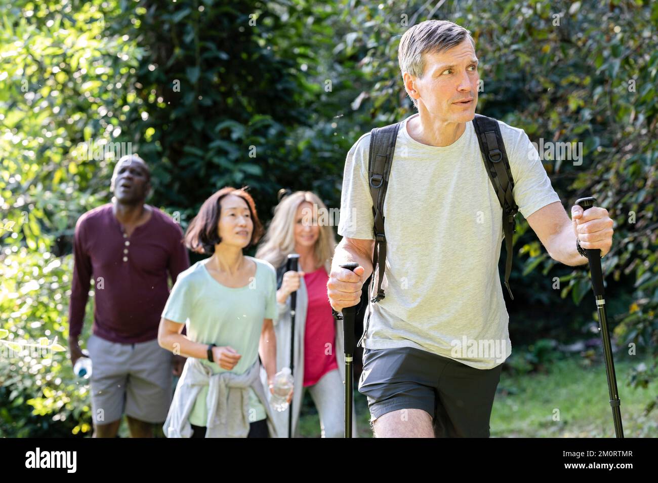 Homme d'âge moyen portant sac à dos et bâtons de randonnée tout en randonnant dans les bois avec divers groupes d'amis Banque D'Images