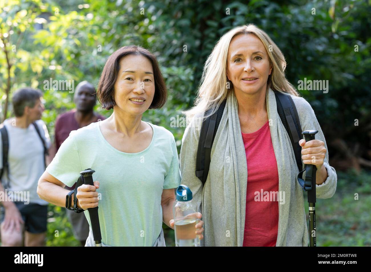 Deux femmes d'âge moyen avec des bâtons de randonnée marchant dans les bois avec leurs partenaires derrière elles Banque D'Images