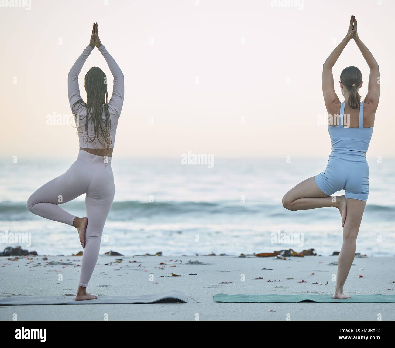 Yoga, amis de remise en forme et entraînement de plage avec pose d'arbre en plein air dans la nature pour le zen, la paix et l'équilibre avec la pleine conscience de la méditation. Les femmes ensemble Banque D'Images