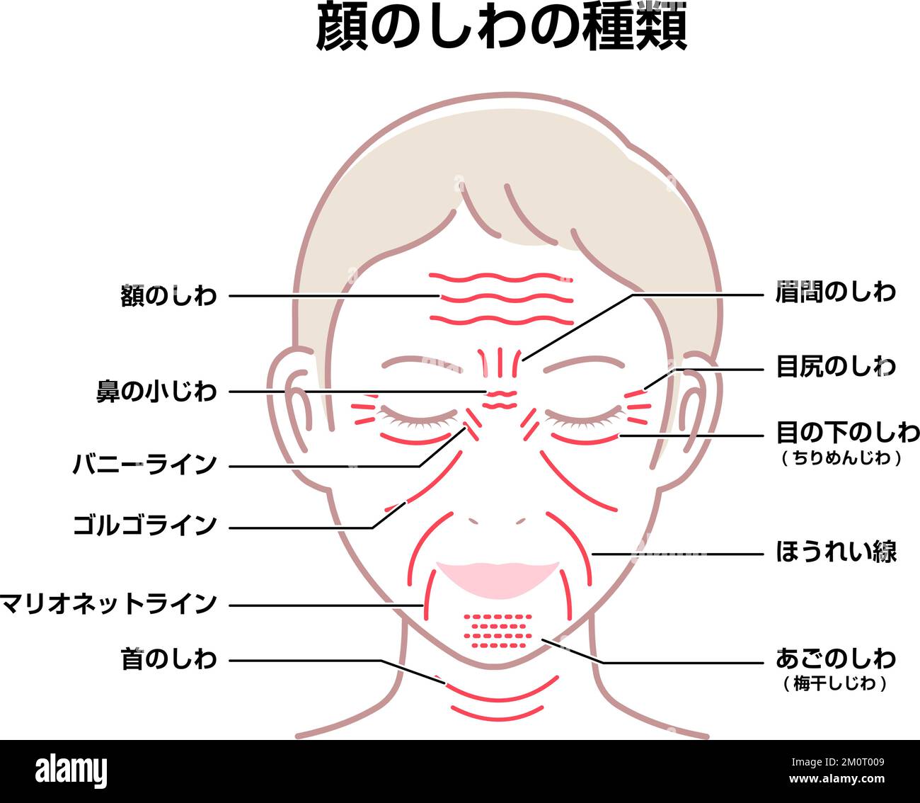 Plis faciaux ( visage féminin ) illustration vectorielle / japonais Illustration de Vecteur