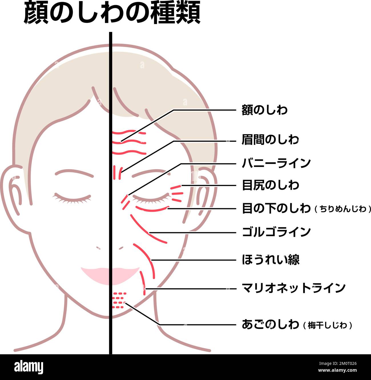 Plis faciaux ( visage féminin ) illustration vectorielle / japonais Illustration de Vecteur