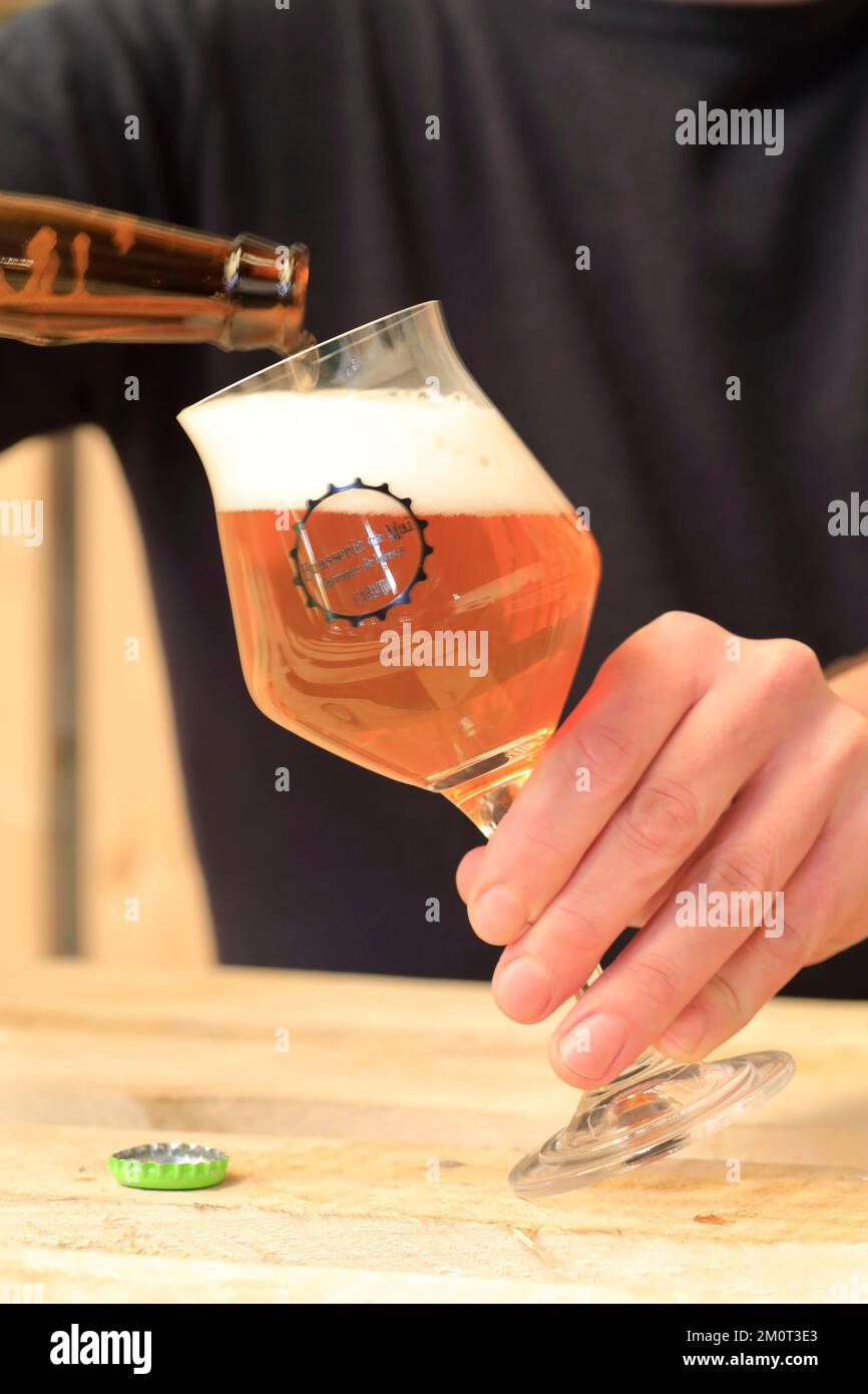 France, pas de Calais, Nord pas de Calais bassin minier, Carvin, Brasserie de Mai, verre de bière blonde artisanale Banque D'Images