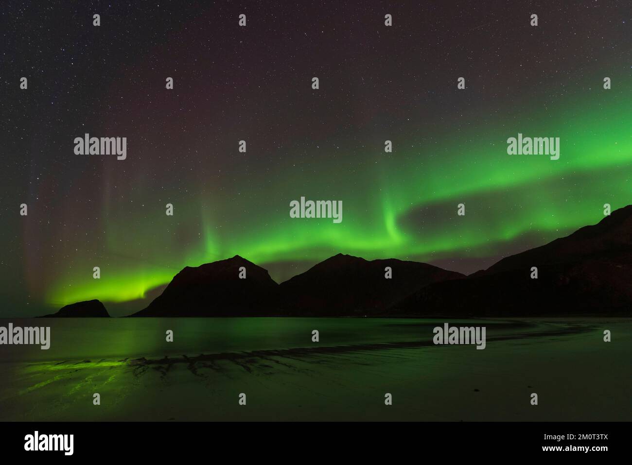 Norvège, Comté de Nordland, îles Lofoten, Plage de Haukland, Northern Lights Banque D'Images