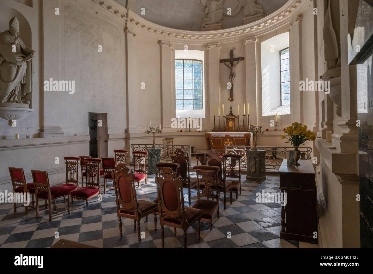 France, Yonne (89), Saint Fargeau, château de Saint Fargeau, chapelle Banque D'Images