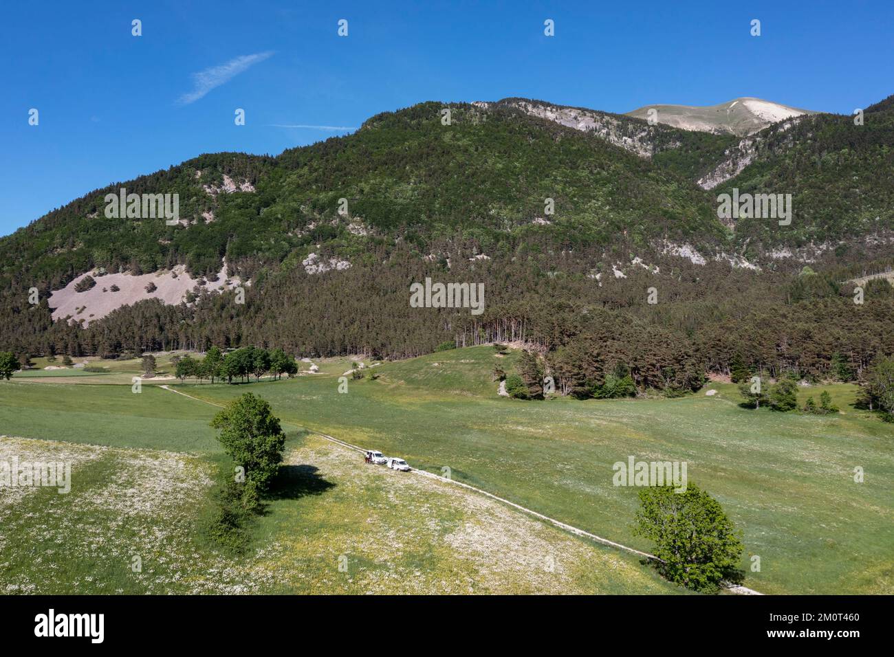 France, Drôme, lus la Croix haute, massif du D?voluy, vallée de Jarjatte, prairie fleurie et montagne de Clairet en vue aérienne Banque D'Images