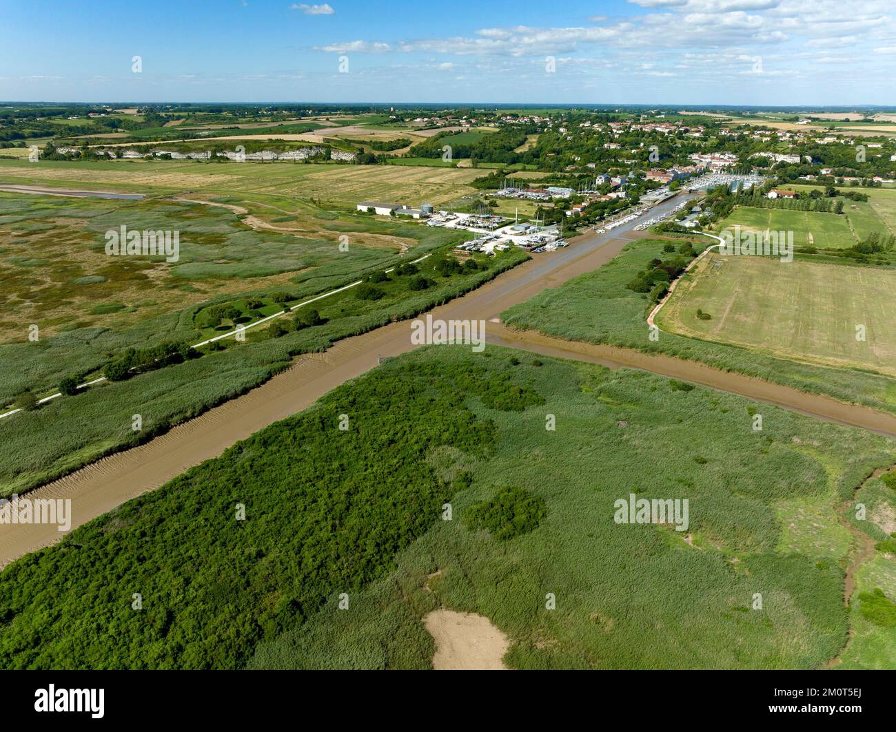 France, Charente-Maritime, estuaire de la Gironde, Mortagne-sur-Gironde, village de pierre et d'eau et son marais au bord du plus grand estuaire d'Europe Banque D'Images