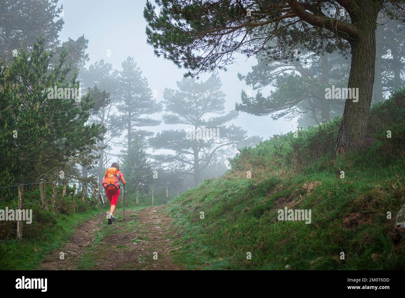 Espagne, Principauté des Asturies, commune de Tineo, environs de Samblismo, randonnée sur le Camino Primitivo, itinéraire alternatif à travers Los Hospitales, route espagnole de pèlerinage à Saint-Jacques-de-Compostelle Banque D'Images