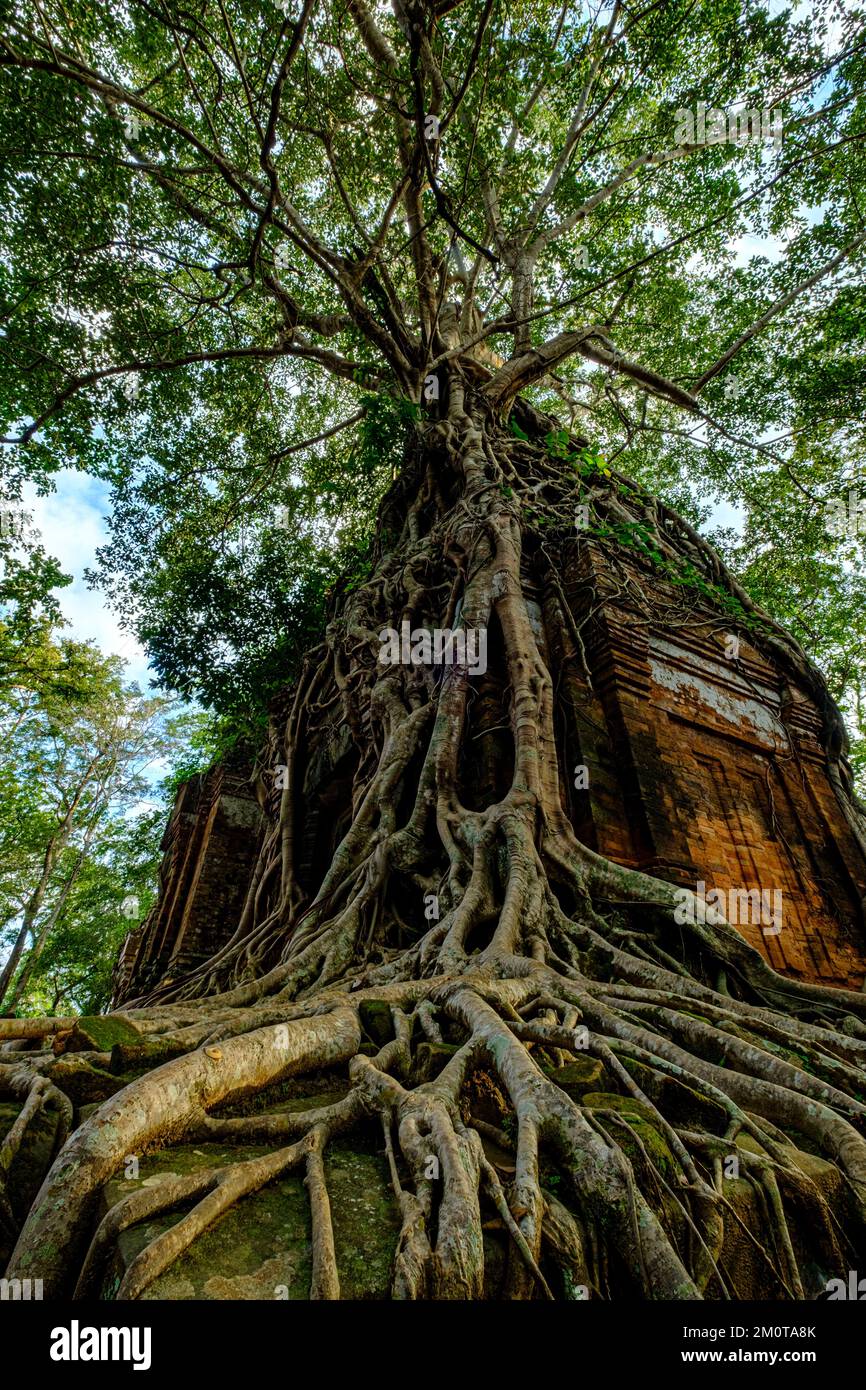 Cambodge, Koh Ker, ancienne capitale khmère au X siècle sous le roi Jayavarman IV, Prasat Pram ou temple Prasat Bram Banque D'Images