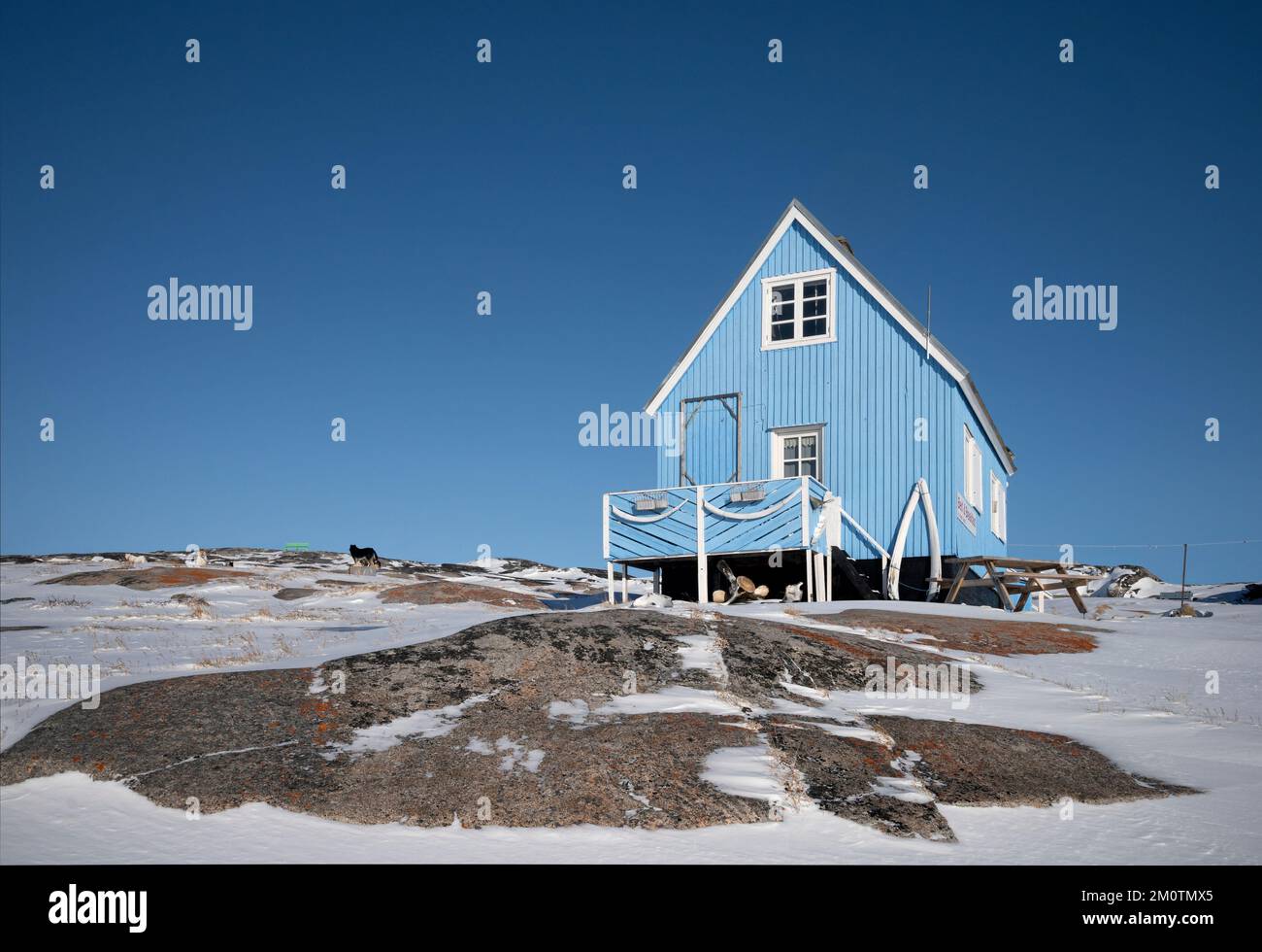 Maisons en bois colorées dans la petite colonie inuite d'Oqaatsut Banque D'Images