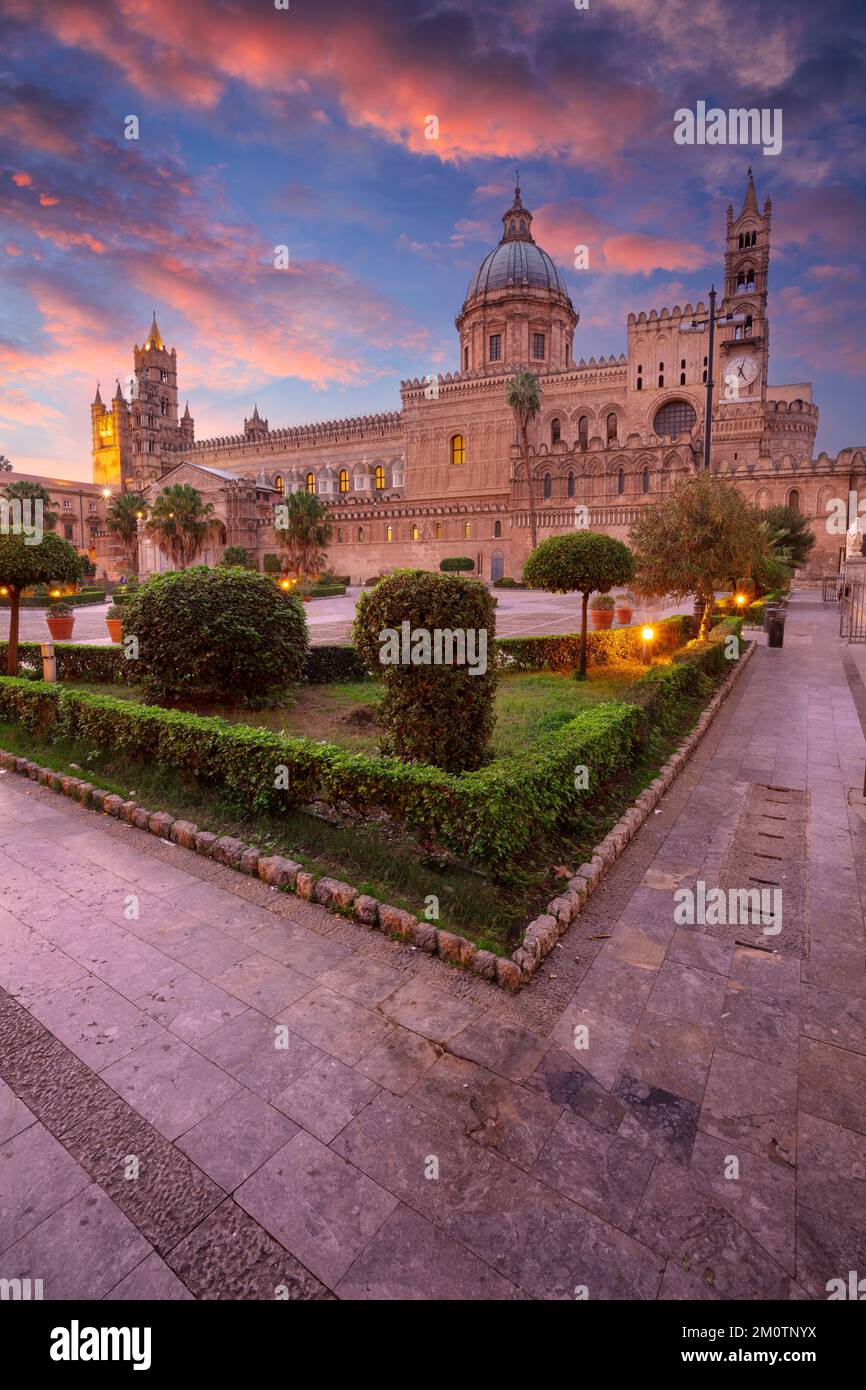 Cathédrale de Palerme, Sicile, Italie. Image de paysage urbain de la célèbre cathédrale de Palerme à Palerme, Italie, au beau coucher du soleil. Banque D'Images