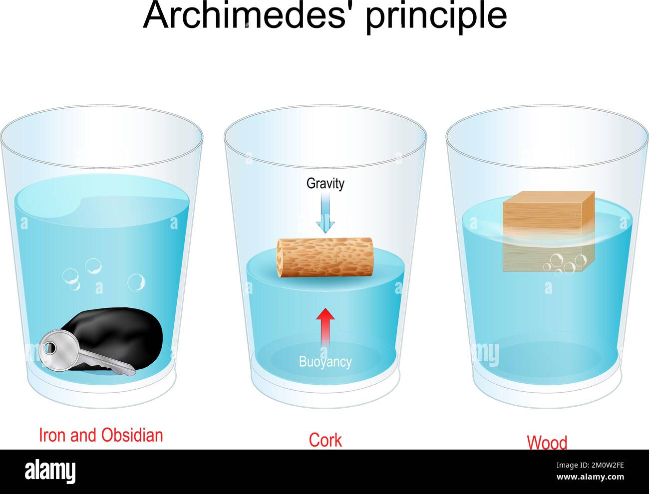 Principe d'Archimède. Faites l'expérience avec des verres d'eau, de la pierre obsidienne, de la clé en fer, du liège et du cube en bois. flottabilité Illustration de Vecteur