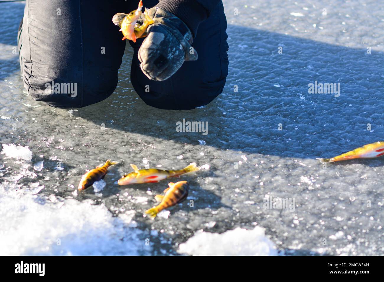 Pêche sur glace pêche agréable, activité d'hiver, Ice Hole lac d'eau douce. Banque D'Images