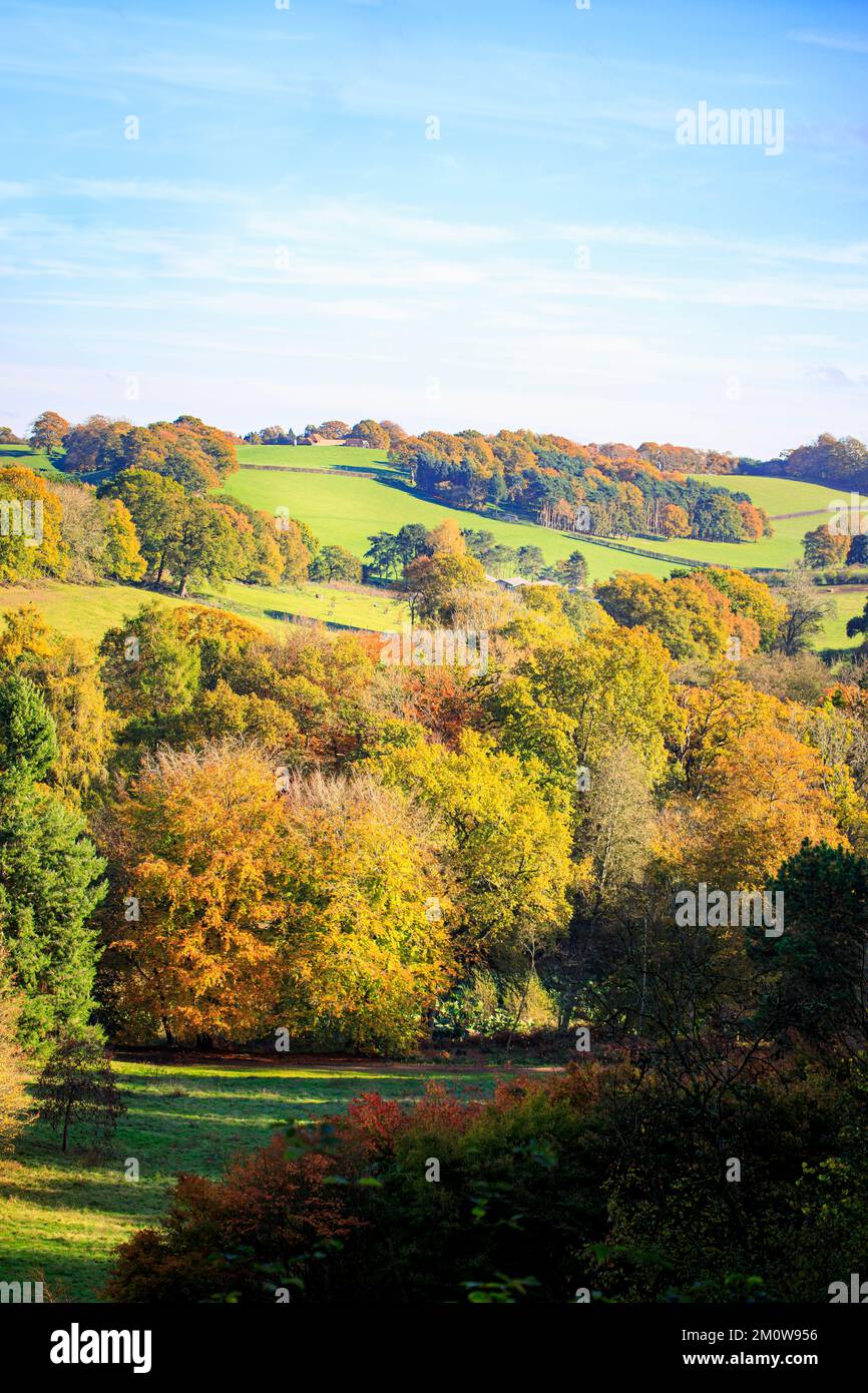 Vue sur le fond, les terres agricoles et les arbres avec feuillage d'automne depuis l'arboretum Winkworth près de Godalming, Surrey, au sud-est de l'Angleterre Banque D'Images