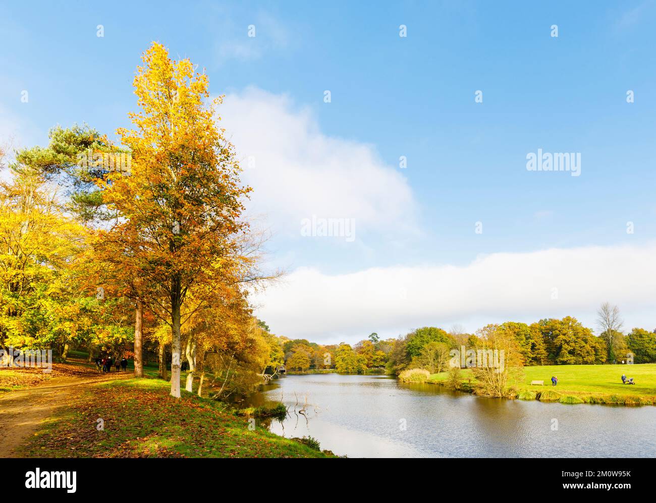 Les arbres d'automne colorent le feuillage près du lac à l'arboretum Winkworth près de Godalming, Surrey, au sud-est de l'Angleterre Banque D'Images