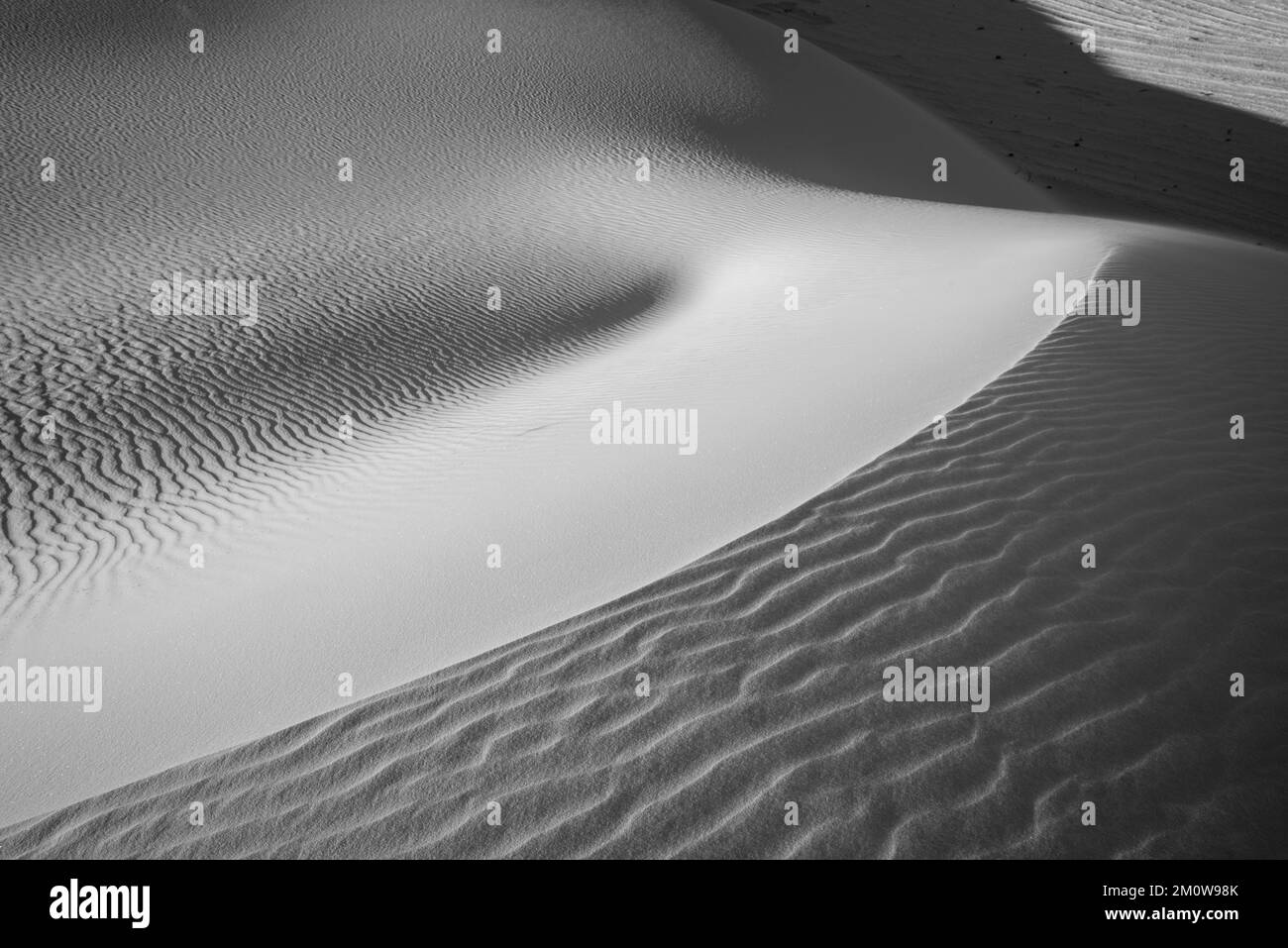 Photographie du parc national de White Sands, près d'Alamogordo, Nouveau-Mexique, États-Unis, lors d'une belle soirée d'automne. Banque D'Images