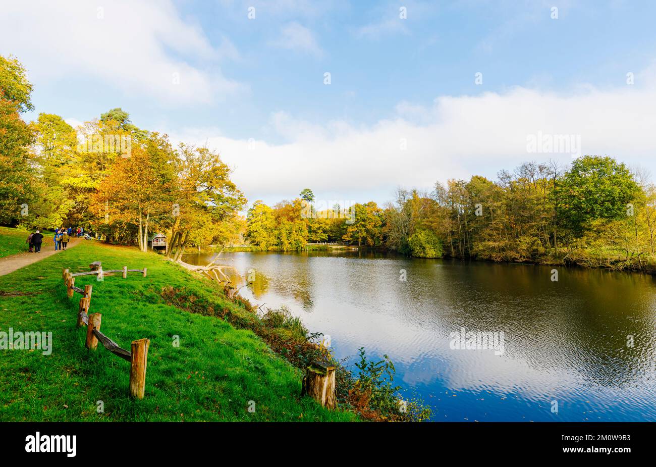 Les arbres d'automne colorent le feuillage près du lac à l'arboretum Winkworth près de Godalming, Surrey, au sud-est de l'Angleterre Banque D'Images