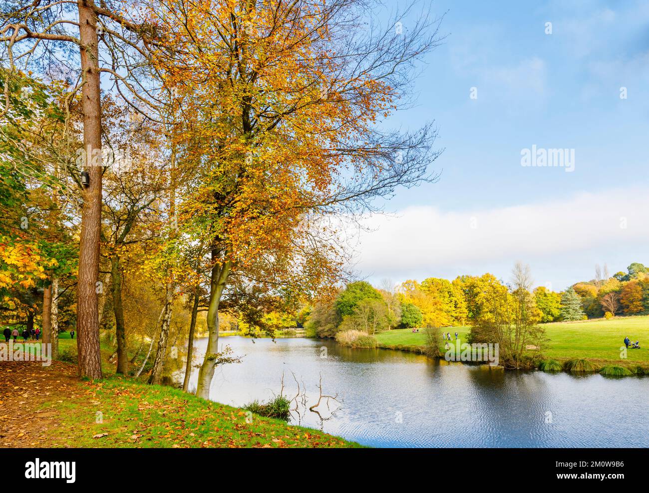 Les arbres d'automne colorent le feuillage près du lac à l'arboretum Winkworth près de Godalming, Surrey, au sud-est de l'Angleterre Banque D'Images