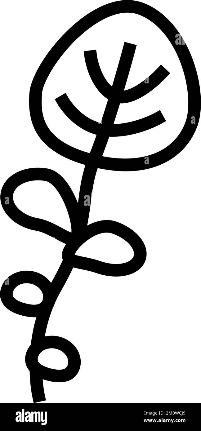 illustration vectorielle de l'icône représentant une salade d'eau Illustration de Vecteur