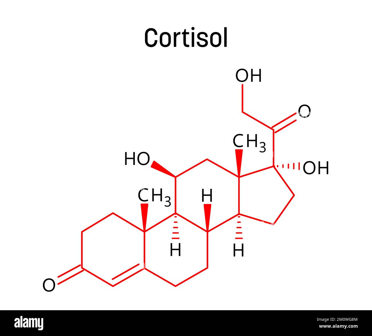 Structure moléculaire du cortisol. Le cortisol est une hormone stéroïde régulant la réponse au stress, le métabolisme, la pression artérielle, le sucre dans le sang et le cycle sommeil-réveil. Formule structurale vectorielle de composé chimique avec des liens rouges et des étiquettes d'atomes noirs. Illustration de Vecteur