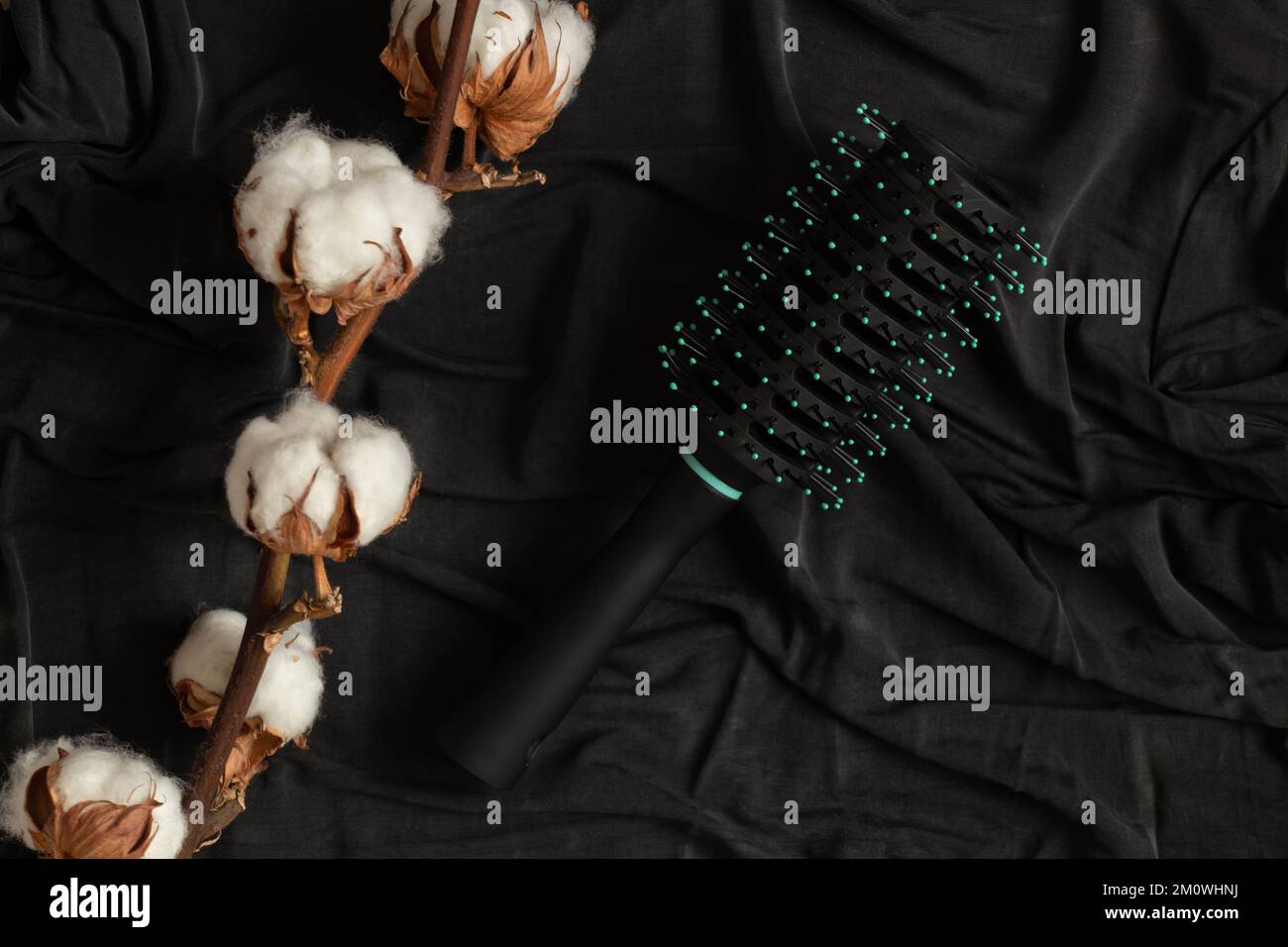 Un peigne rond femelle et une branche de coton sec reposent sur une nappe noire, un peigne femelle Banque D'Images