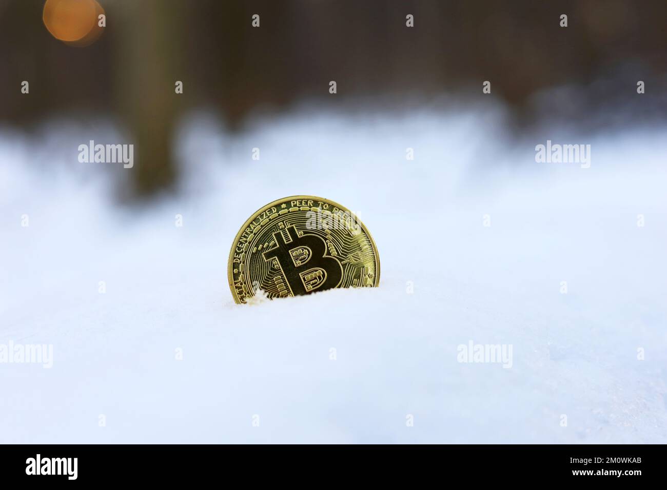 Bitcoin sur la dérive des neiges dans la forêt d'hiver. Monnaie électronique décentralisée, baisse ou gel du taux de crypto-monnaie Banque D'Images