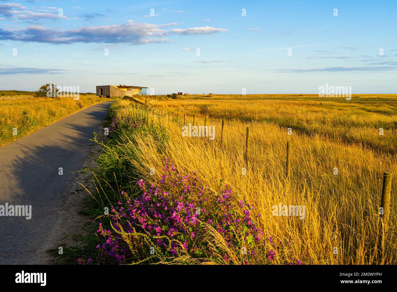 Rye East sussex Path traverser la réserve naturelle de Rye Harbour au coucher du soleil jusqu'au Rye Harbour Discovery Centre Rye Harbour Rye Sussex Angleterre GB Europe Banque D'Images