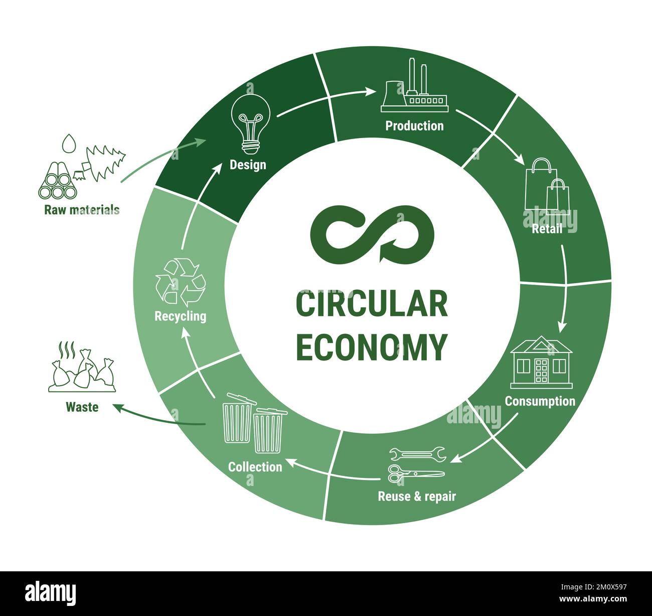 Infographie circulaire sur la ligne économique sur le schéma vert. Modèle commercial durable. Schéma du cycle de vie du produit de la matière première à la production, consommé Illustration de Vecteur