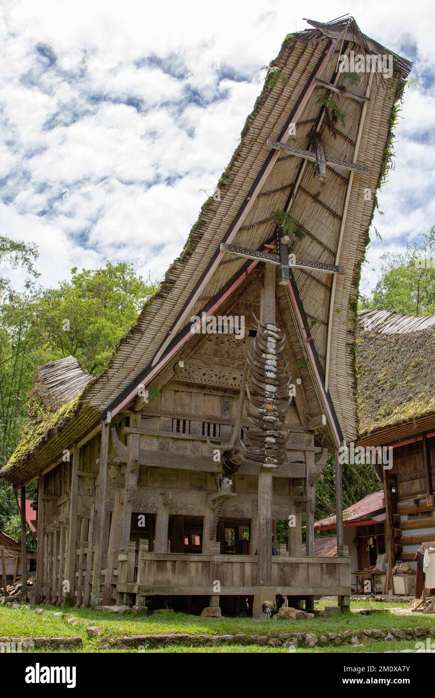 Tongkonan maison traditionnelle à Toraja, Sulawesi Sud, Indonésie Banque D'Images