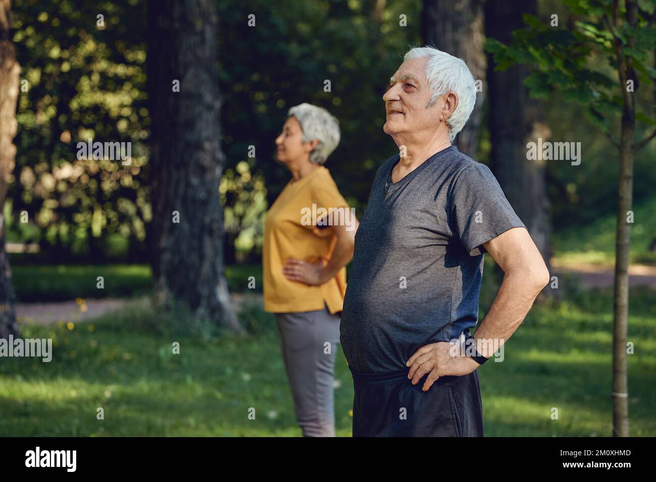 Les conjoints âgés portent des vêtements de sport faisant des exercices à l'extérieur dans le parc d'été le matin. Un mode de vie sain, une vie active à la retraite utiliser un appareil moderne conc Banque D'Images