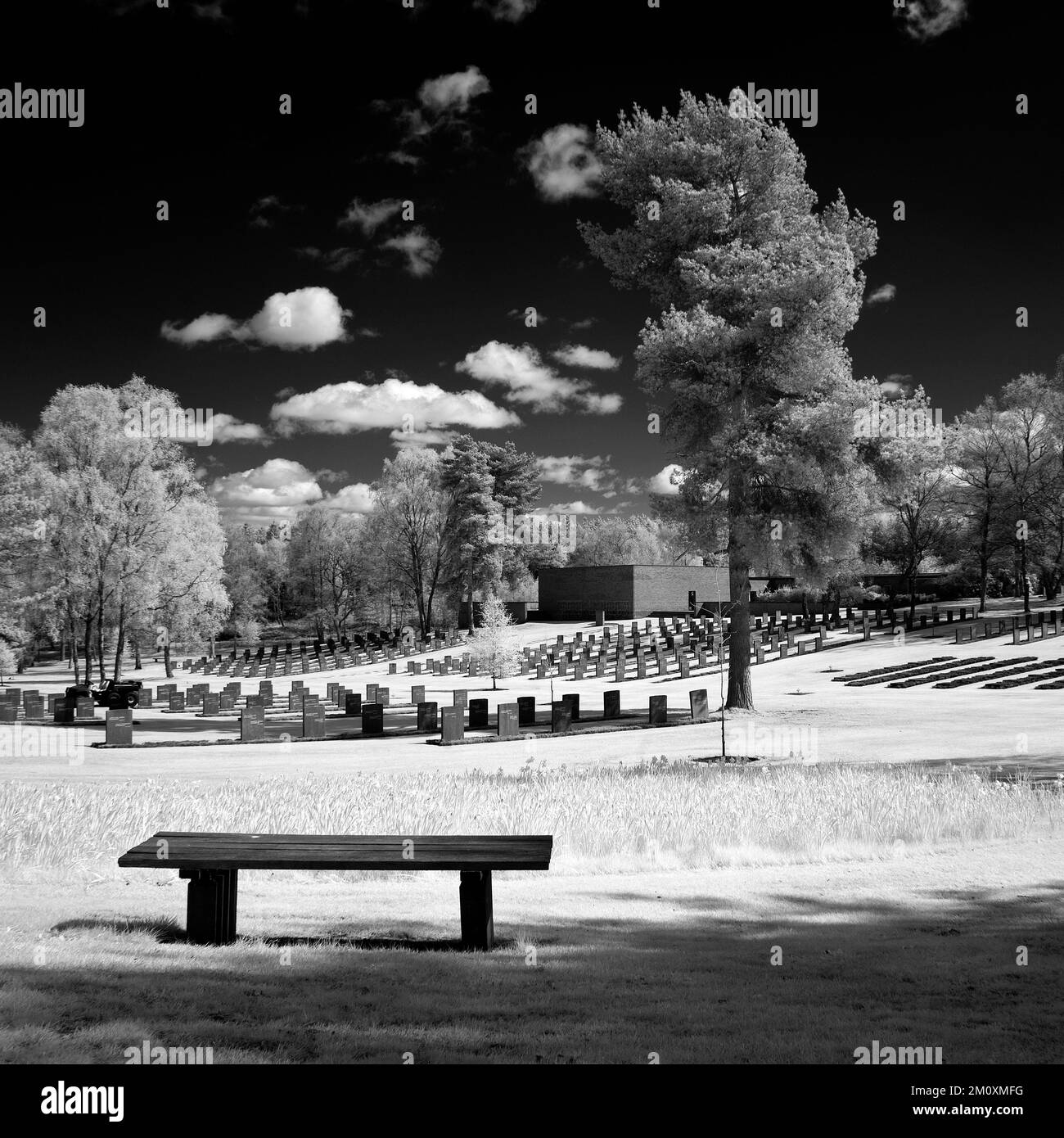 Photographie en noir et blanc du cimetière militaire allemand au printemps sur Cannock Chase AONB zone de beauté naturelle exceptionnelle dans le Staffordshire Angleterre Banque D'Images