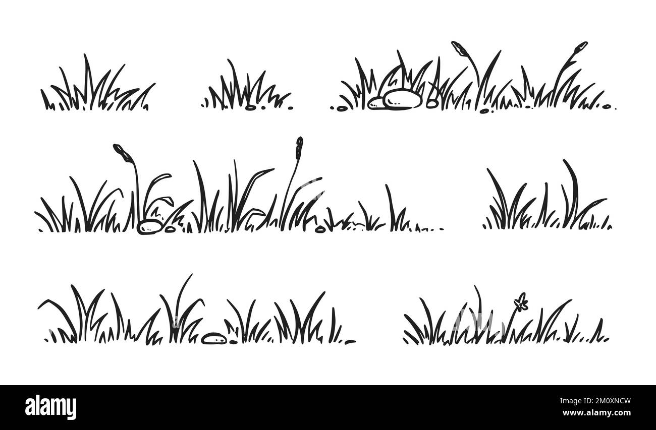 Ensemble de styles d'esquisse pour herbe. Tracé à la main, contour du champ d'herbe, arrière-plan griffé. Sprout, fleur, éléments de trèfle. Illustration vectorielle. Illustration de Vecteur