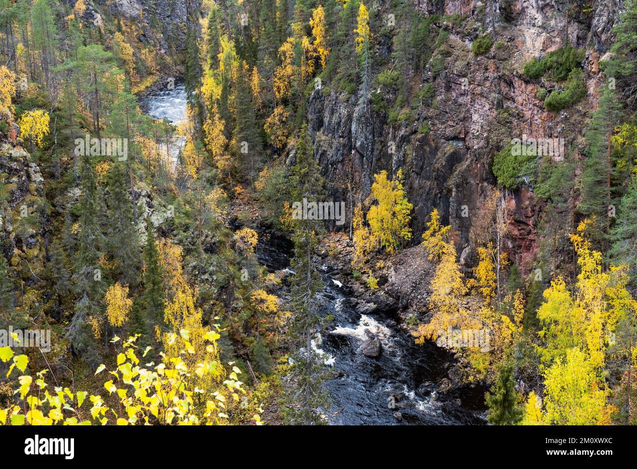 L'eau s'écoulant dans les rapides d'un canyon dans le parc national d'Oulanka, dans le nord de la Finlande Banque D'Images