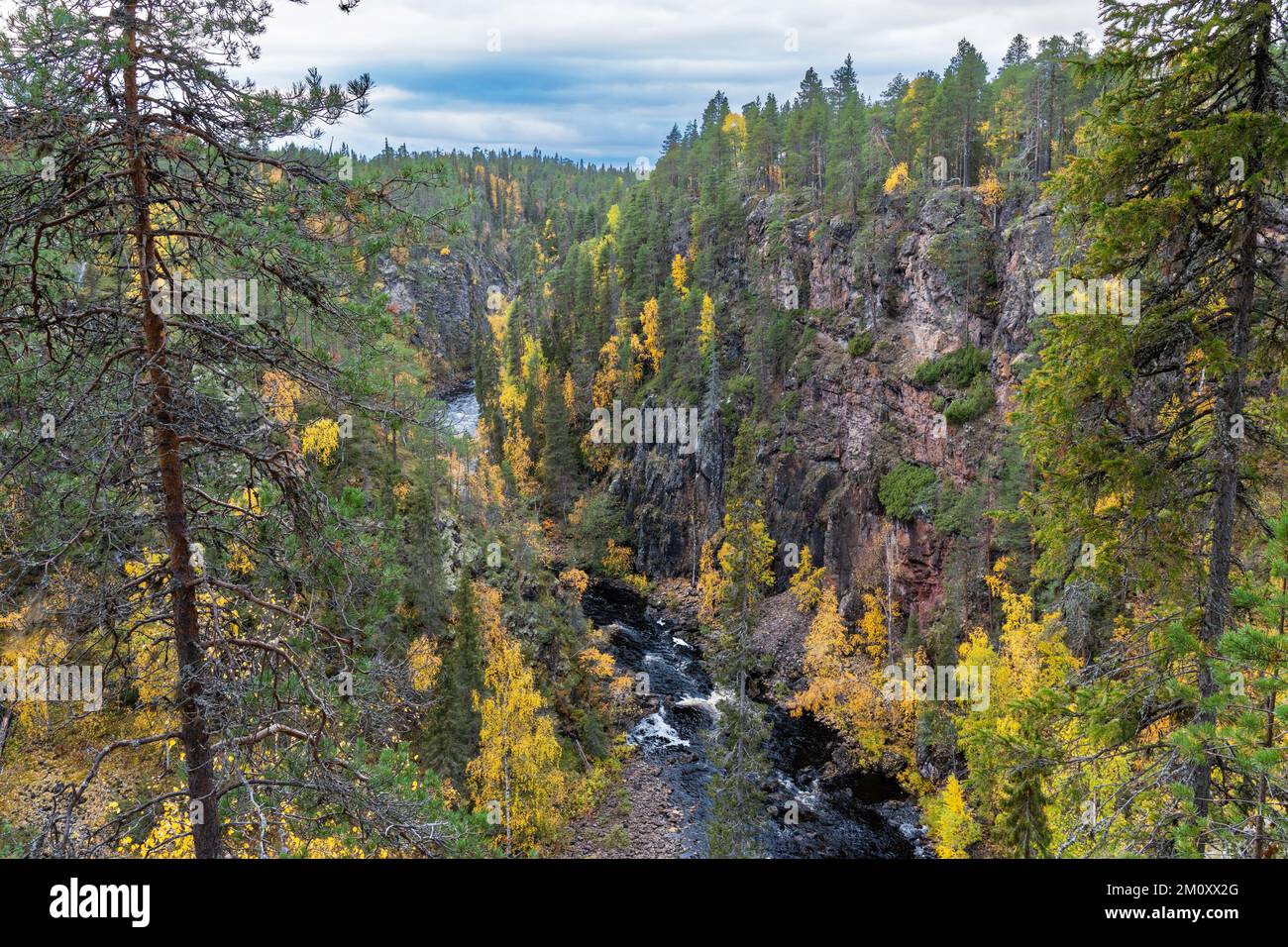 L'eau s'écoulant dans les rapides d'un canyon dans le parc national d'Oulanka, dans le nord de la Finlande Banque D'Images