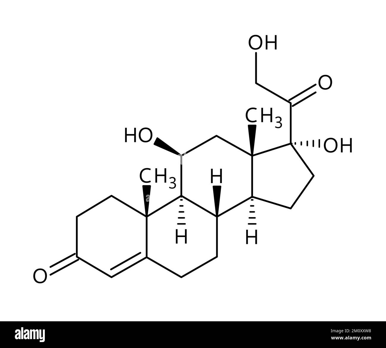 Structure moléculaire du cortisol. Le cortisol est une hormone stéroïde régulant la réponse au stress, le métabolisme, la pression artérielle, le sucre dans le sang et le cycle sommeil-réveil. Formule structurale vectorielle de composé chimique avec des liens rouges et des étiquettes d'atomes noirs. Illustration de Vecteur