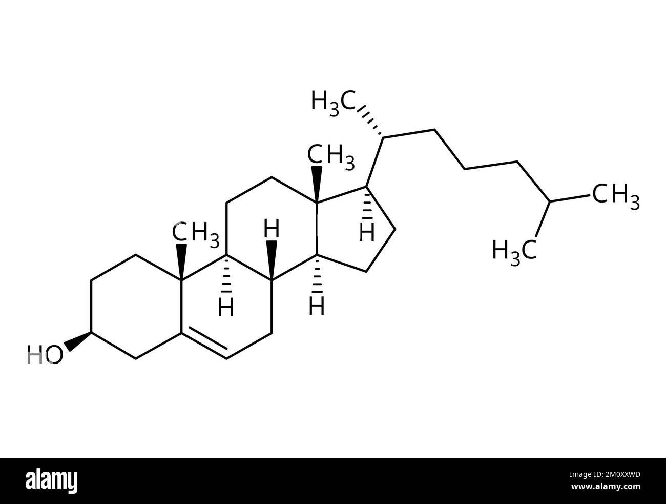 Structure moléculaire du cholestérol. Le cholestérol est un lipide et un composant structural essentiel des membranes de cellules animales. Formule structurale vectorielle de composé chimique avec des liens rouges et des étiquettes d'atomes noirs. Illustration de Vecteur