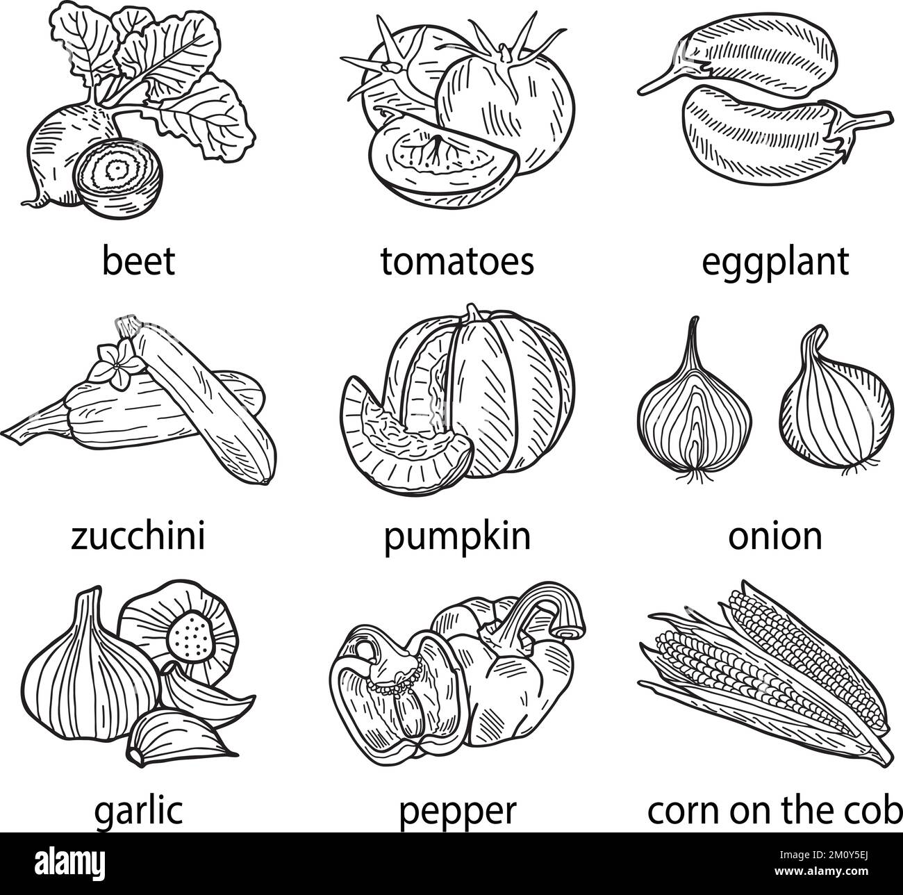 Illustration vectorielle dessinée à la main d'un ensemble de légumes. Illustration de Vecteur