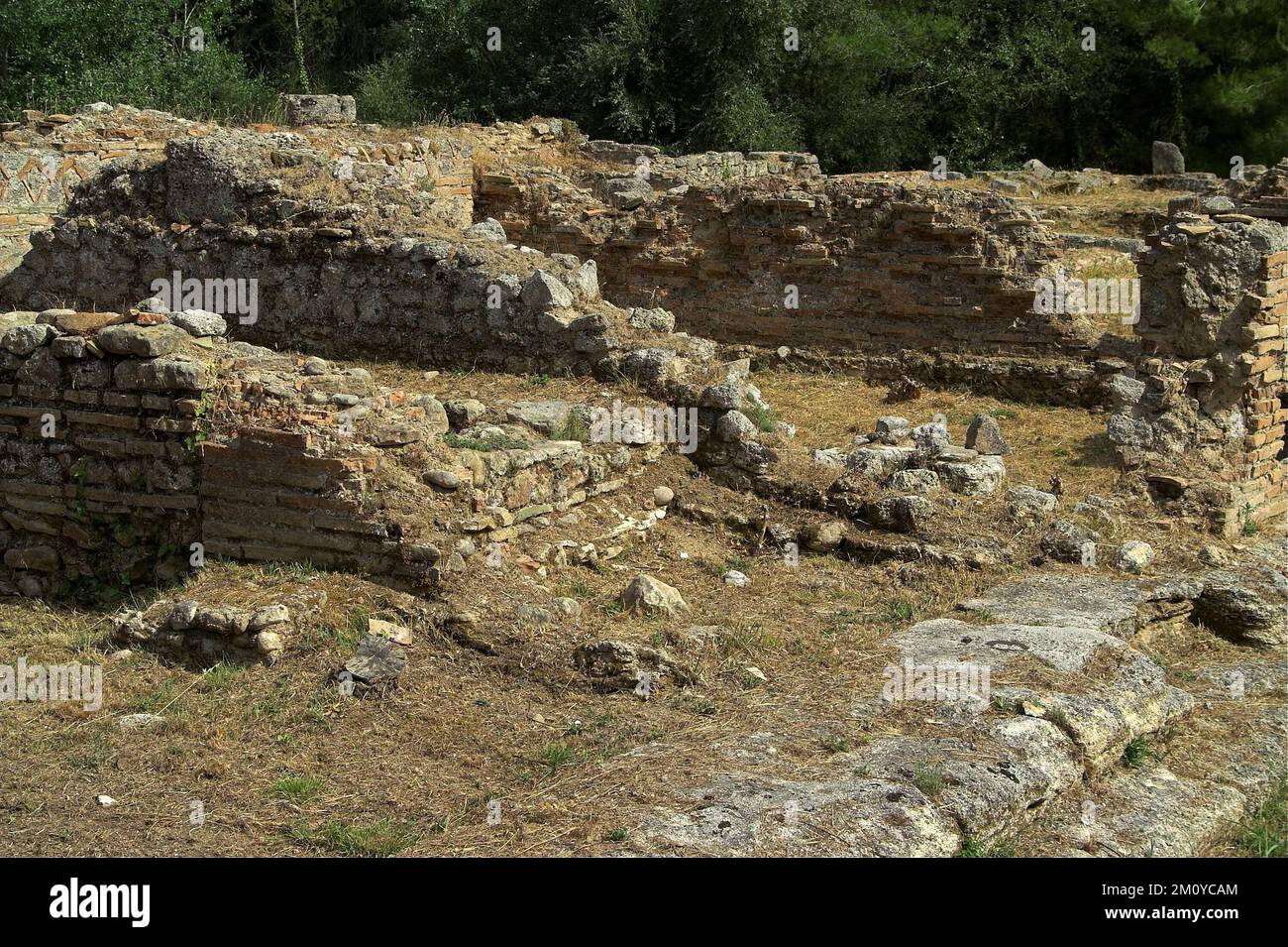 Olympia, Αρχαία Ολυμπία, Grecja, Grèce, Griechenland; Site archéologique - sanctuaire de Zeus; Archäologische Stätte - Heiligtum des Zeus Banque D'Images