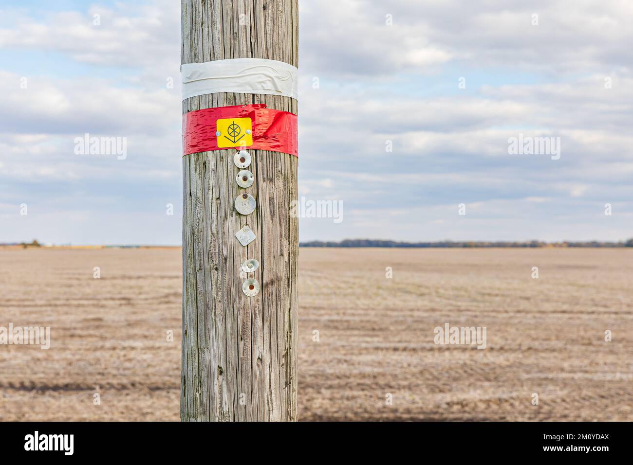 Étiquette d'inspection sur le pôle d'alimentation électrique. Concept de sécurité, d'entretien, de réparation et d'infrastructure du réseau électrique. Banque D'Images