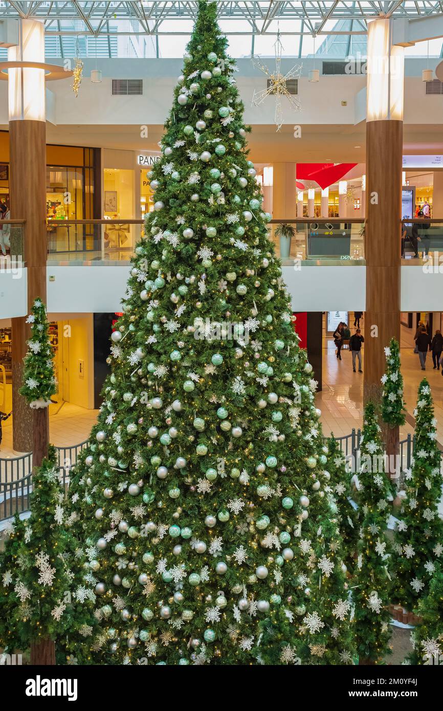 Le grand arbre de noël dans le centre commercial. Grand sapin de Noël lumineux décoré de guirlandes et de balles colorées dans le centre commercial de Guildford Banque D'Images