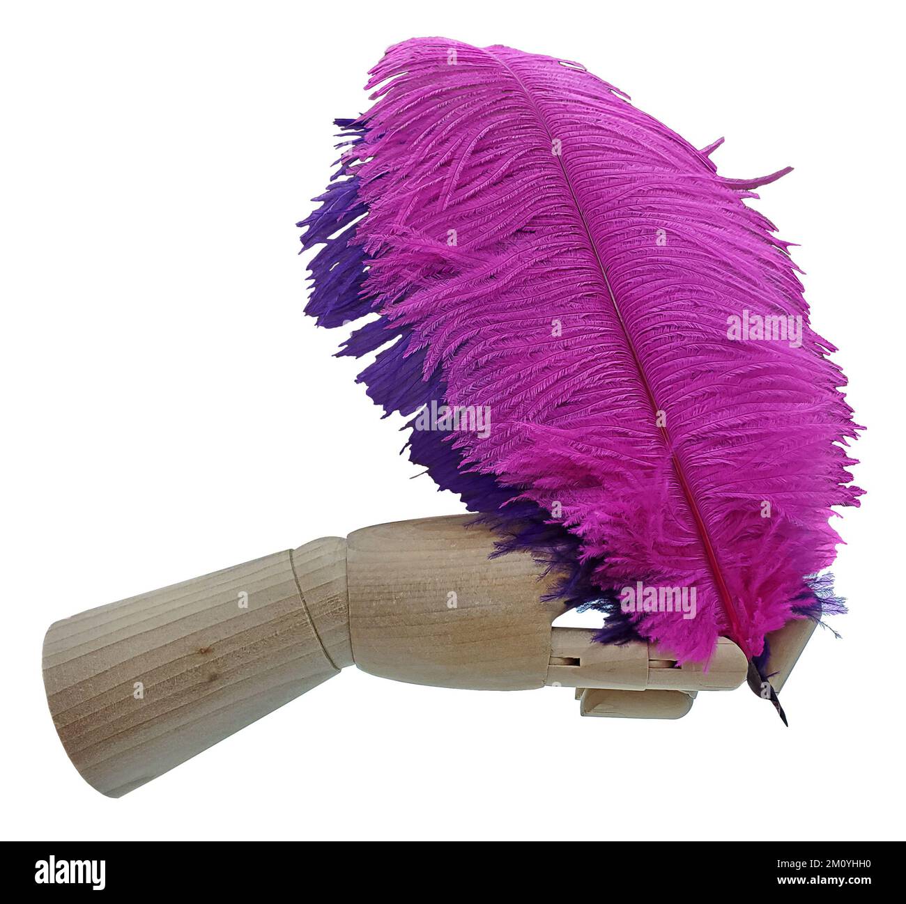 Plumes roses et pourpre d'un quill de plumes Banque D'Images