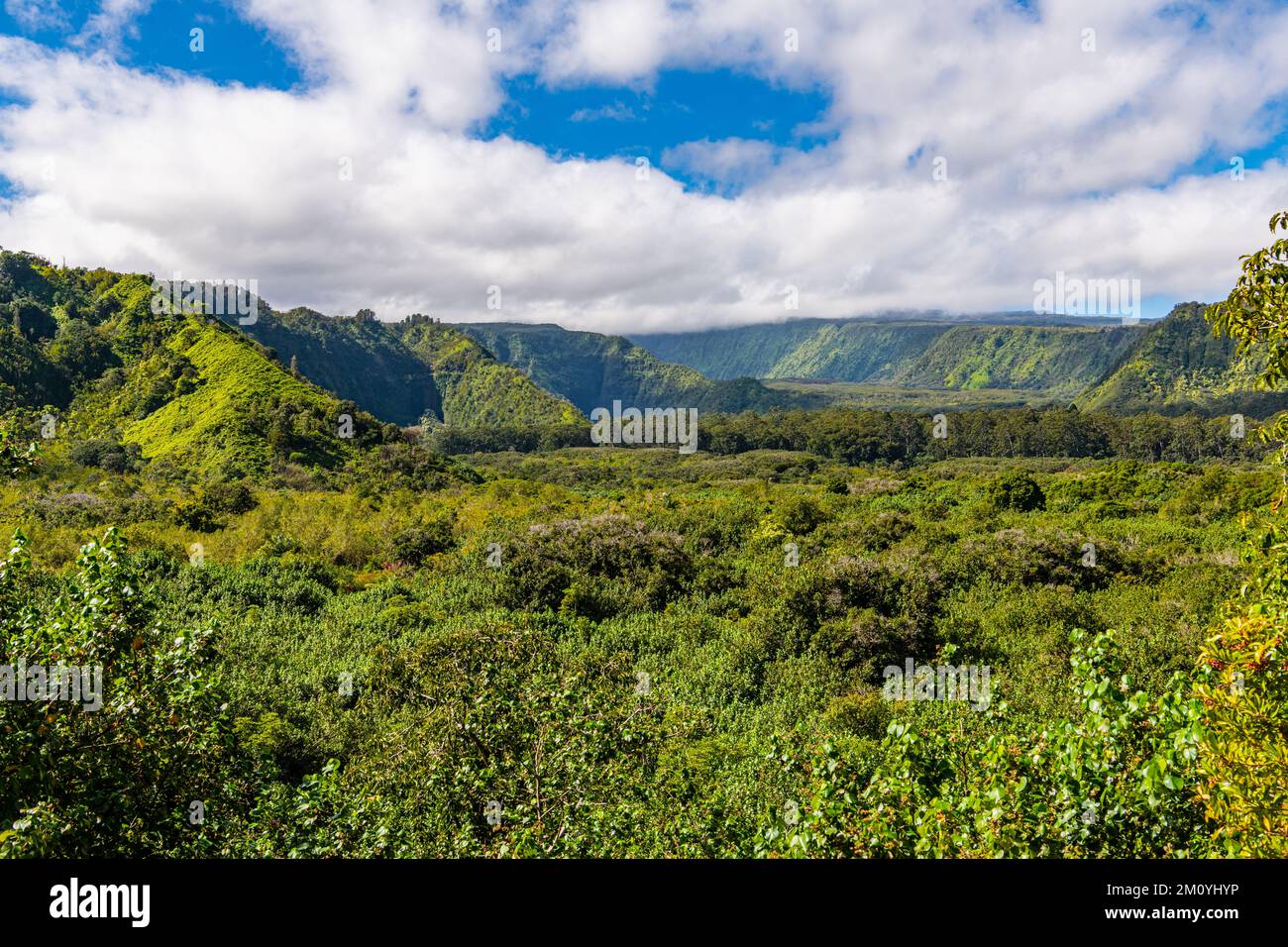 Paysage de vallée tropicale et de montagnes couvertes de végétation luxuriante à Wailua Valley, Maui Banque D'Images