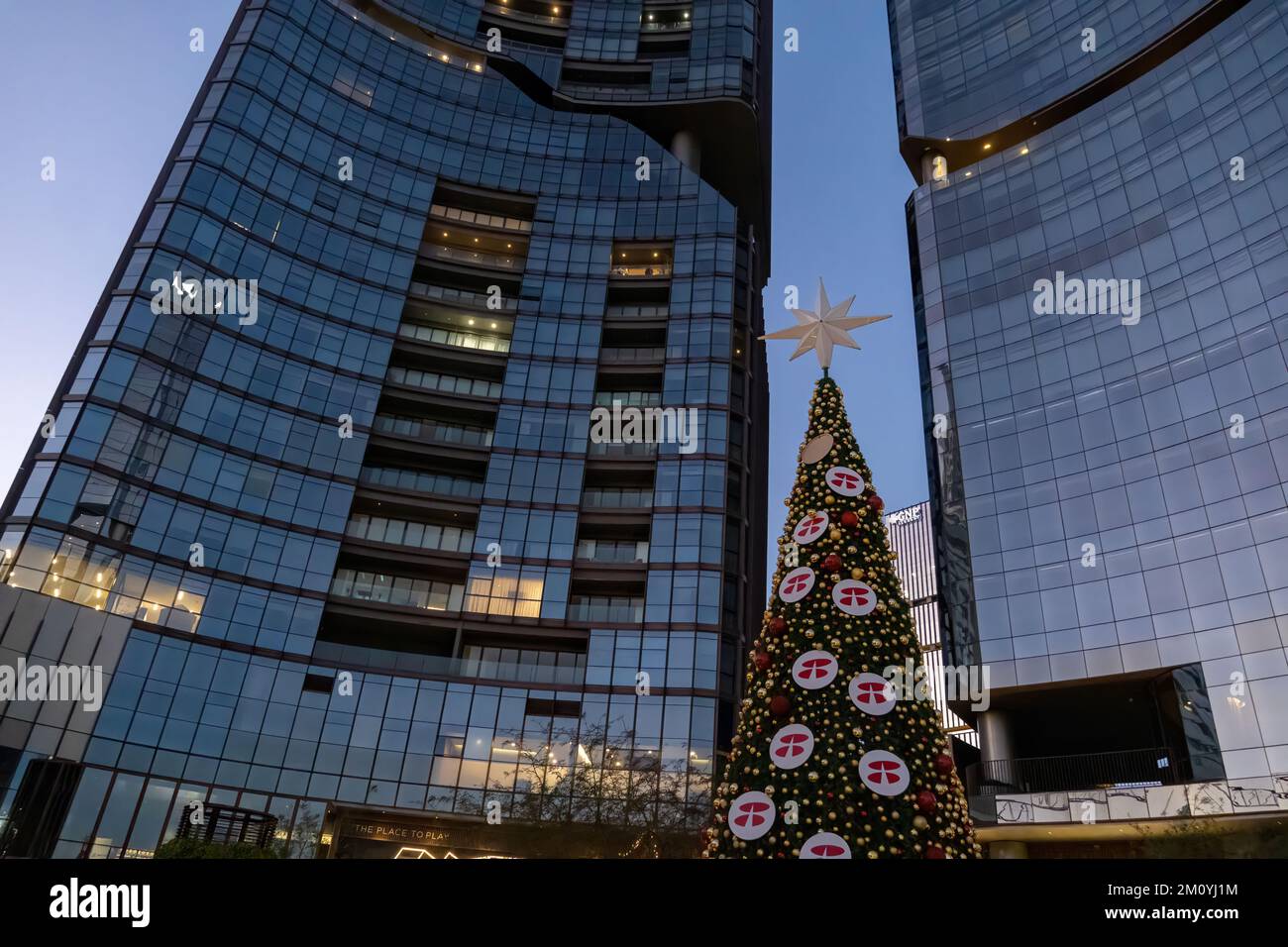 arbres de noël grands bâtiments en arrière-plan, noël et concept d'affaires, mexique Banque D'Images